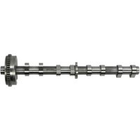 Nockenwelle FRECCIA CM05-2347 Nockenwelle FRECCIA CM05-2347 von Freccia