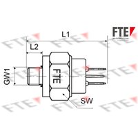 Bremslichtschalter FAG 9910201 von Fte