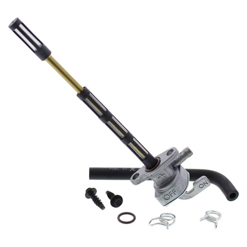 Fuel Star FS101-0171 Strukturiertes Standard-Kraftstoffventil-Kit von Fuel Star