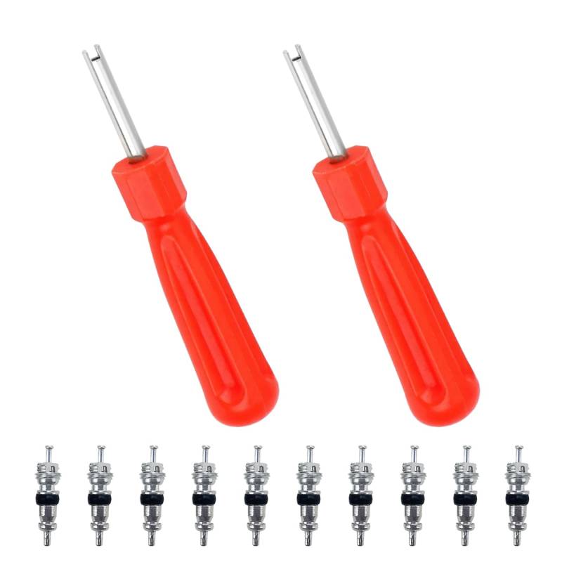 FuzlPnag 10 PCS Ventileinsätzen mit 2 Ventileinsatzentferner, Ventilkernwerkzeug， Ventilkern-Entferner ，für Auto Fahrrad LKW Ersatzreifen von FuzlPnag