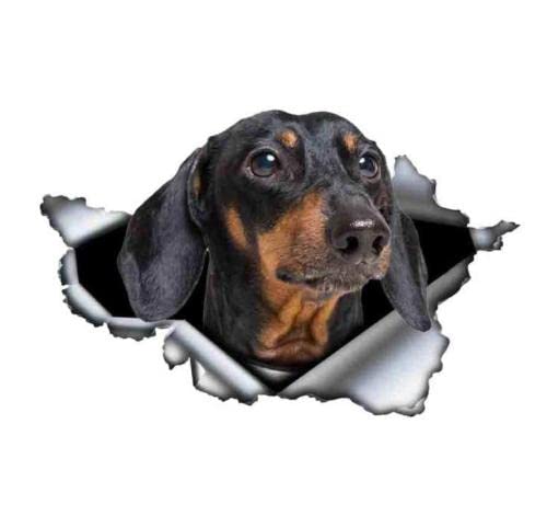 Auto Sticker Autoaufkleber 18Cm(7.08 In)Hellbrauner Dackel-Autoaufkleber, Zerrissener Metallaufkleber, Reflektierende Aufkleber, Wasserdicht, Auto-Styling, Haustier-Hunde-Aufkleber (Csyj1S582) von GAETOYEN