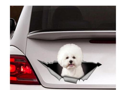 Autoaufkleber Hund Personalisiert 18Cm(7.08 Inch) Bichon Frise Auto Aufkleber, Bichon Frise Aufkleber, Haustier Aufkleber, Hund Aufkleber, Auto Aufkleber, Lustige Aufkleber, Laptop Aufkleber, Aufkl von GAETOYEN
