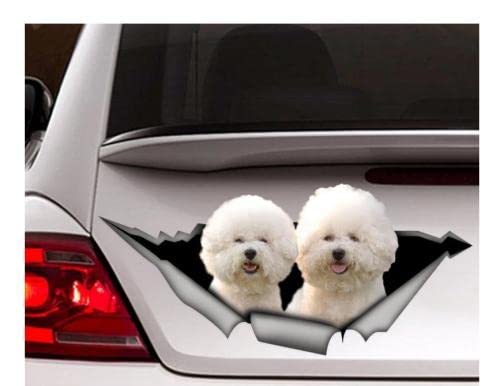 Autoaufkleber Hund Personalisiert 18Cm(7.08 Inch) Bichon Frise Auto Aufkleber, Bichon Frise Aufkleber, Haustier Aufkleber, Hund Aufkleber, Auto Aufkleber, Lustige Aufkleber, Laptop Aufkleber, Aufkl von GAETOYEN