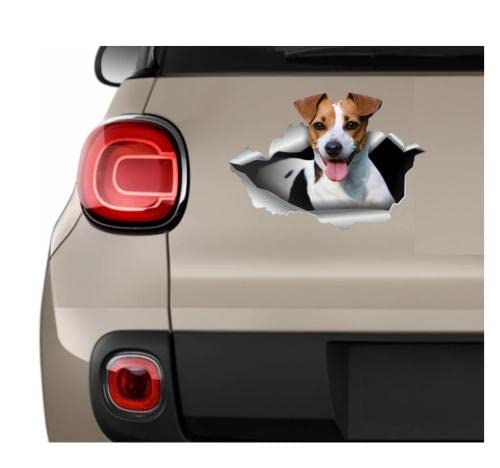 GAETOYEN Autoaufkleber Hund Personalisiert 21Cm（8.6 Inches）Jack Russell Terrier Aufkleber Wasserdicht Vinyl Tierdruck Weiße Rechteckige Autoaufkleber 1 Stück Outdoor von GAETOYEN