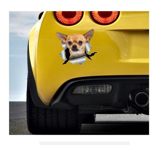 Autoaufkleber Hund Personalisiert 21Cm（8.6 Inches）Chihuahua Aufkleber Knurrender Chihuahua Aufkleber Chihuahua Autoaufkleber Chihuahua Autodruck Dame Autoaufkleber Mädchen Autozubehör Hund(def1m4101) von GAETOYEN