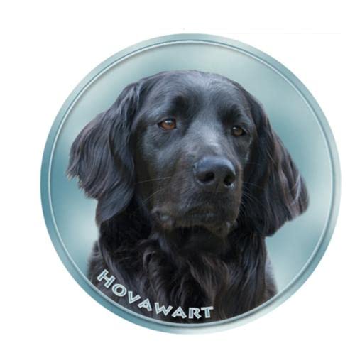 GAETOYEN Auto Sticker Autoaufkleber 22Cm(8.66 In) Verschiedene Größen PVC Aufkleber Hovawart Hund Tier Auto Aufkleber Für Stoßstange Heckscheibe Laptop Kühlschrank Toilette (Csyj1S33704) von GAETOYEN