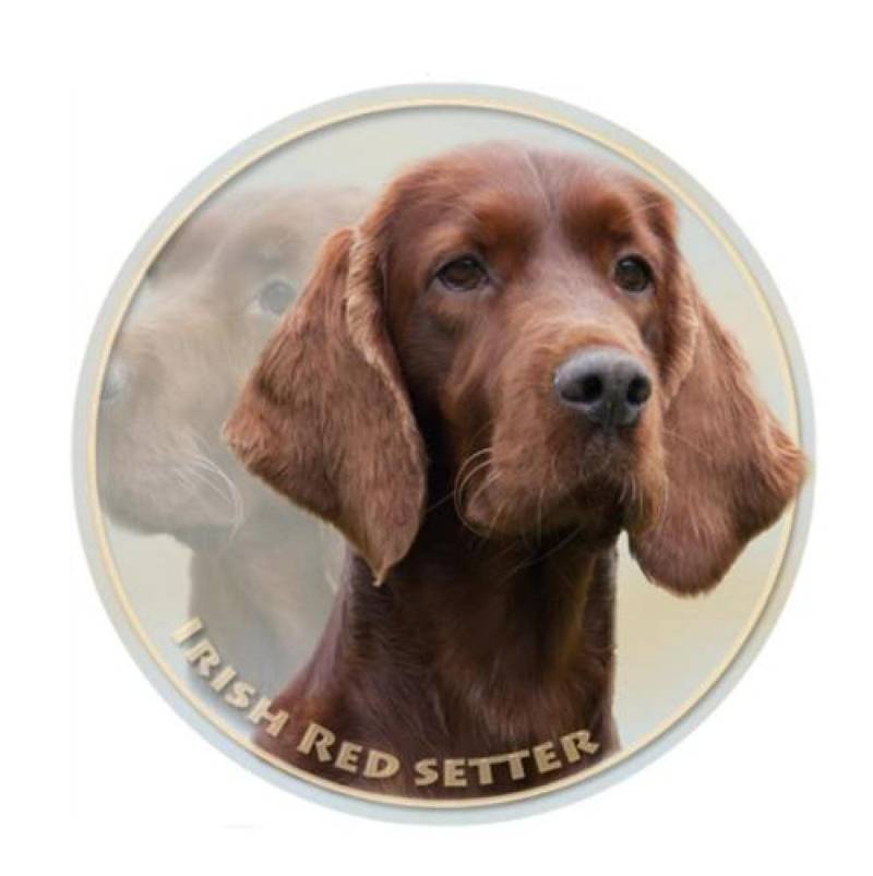 GAETOYEN Autoaufkleber Hund Personalisiert 13 cm PVC Aufkleber Irish Setter Hund Haustier Tier Auto Aufkleber Für Stoßstange Heckscheibe Laptop Kühlschrank Toilette C1S453(1PCS) von GAETOYEN