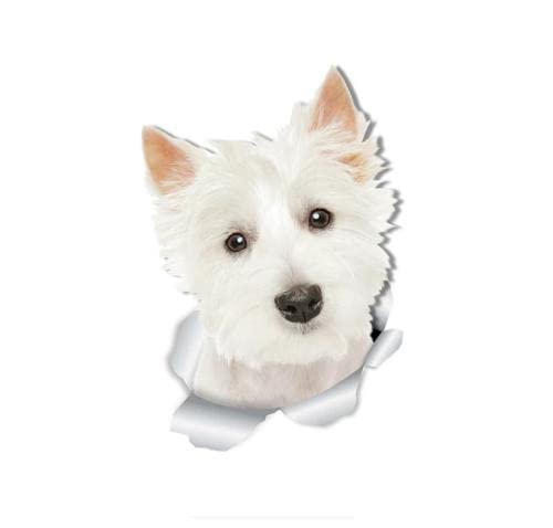 GAETOYEN Autoaufkleber Hund Personalisiert 13 cm X 8,9 cm 3D-Süßer Westie-Hund, West Highland White Terrier, Hund, Autoaufkleber, Außenzubehör, Vinyl-Aufkleber Css1A18179 von GAETOYEN