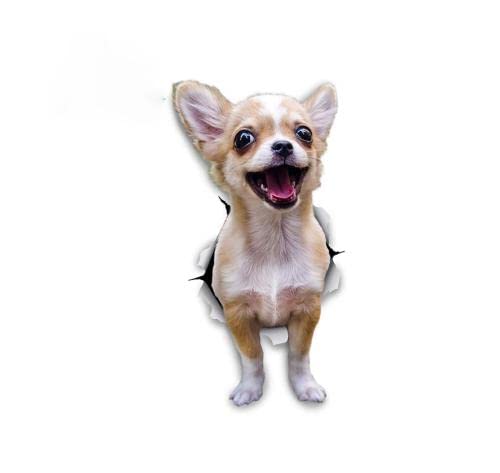 GAETOYEN Autoaufkleber Hund Personalisiert 15 cm 3D Niedliche Tiere Hund Auto Aufkleber Aufgeregt Chihuahua Aufkleber Für Wand Kühlschrank Toilette Chihuahua Hund Zerrissener Aufkleber Css1A1 von GAETOYEN