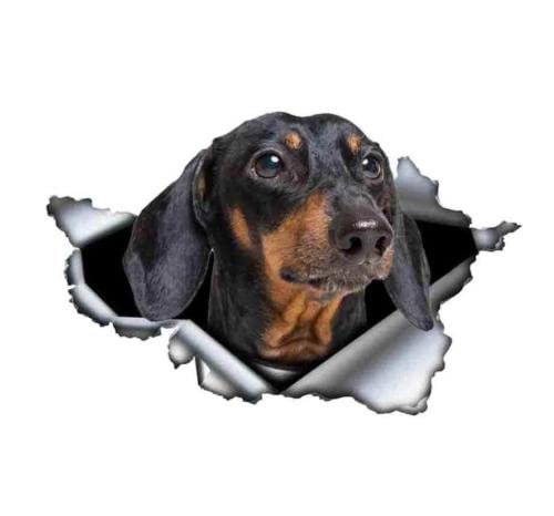 GAETOYEN Autoaufkleber Hund Personalisiert 15 cm 3D Tan Dackel Tier Auto Aufkleber Zerrissene Metall Aufkleber Reflektierende Aufkleber wasserdichte Auto Styling Haustier Hund Aufkleber Css1A von GAETOYEN