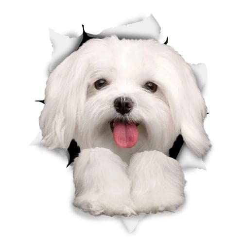 GAETOYEN Autoaufkleber Hund Personalisiert 15 cm Winston Bear 3D-Hundeaufkleber Niedliche Maltesische Hundeaufkleber Für Wand, Kühlschrank, Toilettenaufkleber Css1A16729 von GAETOYEN