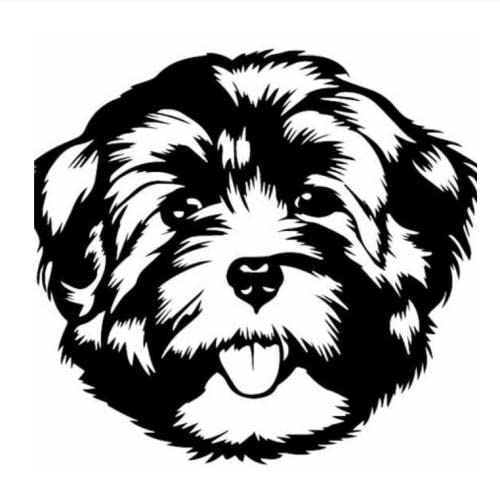 GAETOYEN Autoaufkleber Hund Personalisiert 16,1 X 14,1 cm, Süßer Tier-Autoaufkleber, Havaneser-Gesicht, Vinyl-Aufkleber, Hunderasse, Schwarz Css1A20511 von GAETOYEN