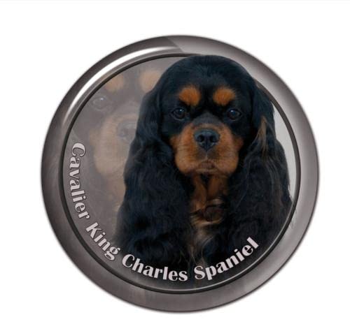 GAETOYEN Autoaufkleber Hund Personalisiert 17 cm Selbstklebender Aufkleber Cavalier King Charles Spaniel Hund Autoaufkleber Dekore Auf Stoßstange Heckscheibe Laptop Css1A4368 von GAETOYEN