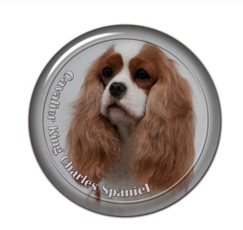 GAETOYEN Autoaufkleber Hund Personalisiert 17 cm Selbstklebender Aufkleber Cavalier King Charles Spaniel Hund Autoaufkleber Dekore Auf Stoßstange Heckscheibe Laptop Css1A4369 von GAETOYEN