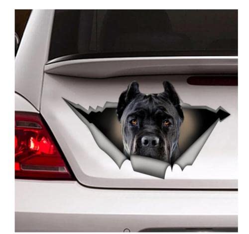 GAETOYEN Autoaufkleber Hund Personalisiert 17Cm Schwarz Cane Corso Auto Aufkleber, Haustier Aufkleber, Hund Aufkleber, Schwarz Cane Corso Aufkleber Css1A16805 von GAETOYEN