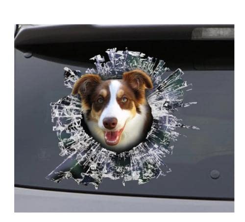 GAETOYEN Autoaufkleber Hund Personalisiert 18Cm(7.08 Inch) Braun Und Weiß Border Collie Fensteraufkleber, Hunde-Auto-Aufkleber, Haustier-Aufkleber C3759Sh von GAETOYEN