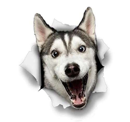 GAETOYEN Autoaufkleber Hund Personalisiert 18Cm(7.08 Inch) Winston Beardog Aufkleber Happy Husky Für Wand, Kühlschrank, Husky Wandtattoo C3487Sh von GAETOYEN