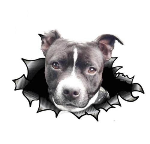 GAETOYEN Autoaufkleber Hund Personalisiert 20 cm American Staffordshire Terrier Aufkleber Zerrissener Metallaufkleber 3D Reflektierender Autoaufkleber Auto Warp Haustier Hund Aufkleber Css1A2 von GAETOYEN