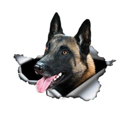 GAETOYEN Autoaufkleber Hund Personalisiert 20 cm Belgischer Malinois Autoaufkleber Zerrissener Metallaufkleber Reflektierende Aufkleber Wasserdichter Belgischer Schäferhund 3D-Aufkleber Css1A von GAETOYEN