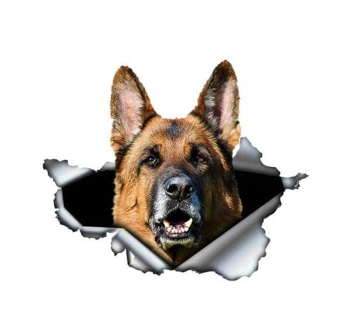 GAETOYEN Autoaufkleber Hund Personalisiert 20 cm Selbstklebender 3D-Aufkleber Haustier Hund Deutscher Schäferhund Autoaufkleber wasserdichte Autodekore Auf Stoßstange Heckscheibe Trolley-Koff von GAETOYEN