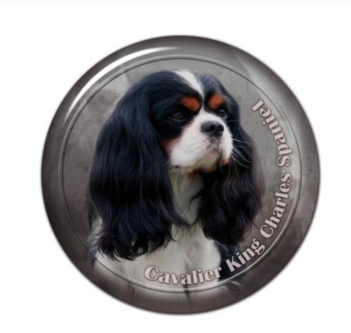 GAETOYEN Autoaufkleber Hund Personalisiert 20 cm Selbstklebender Aufkleber Cavalier King Charles Spaniel Hund Autoaufkleber Dekore Auf Stoßstange Heckscheibe Laptop Css1A4358 von GAETOYEN