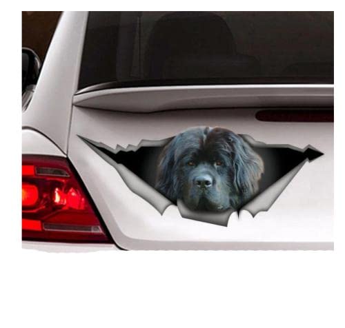 GAETOYEN Autoaufkleber Hund Personalisiert 20Cm Neufundland Auto Aufkleber, Hund Auto Aufkleber, Newfie Aufkleber, Auto Dekoration, Haustier Aufkleber Css1A13164 von GAETOYEN