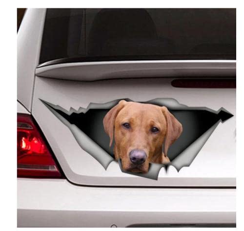 GAETOYEN Autoaufkleber Hund Personalisiert 21Cm（8.6 Inches） Aufkleber | Roter Labrador Aufkleber, Pet Aufkleber Lab Aufkleber, Hund Aufkleber, Red Fox Lab Auto Aufkleber(def1m5483) von GAETOYEN