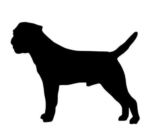 GAETOYEN Autoaufkleber Hund Personalisiert 21Cm（8.6 Inches） Border Terrier Hund Tier Aufkleber Auto Styling Cartoon Mode Aufkleber Motorrad Autozubehör(def1m150) von GAETOYEN