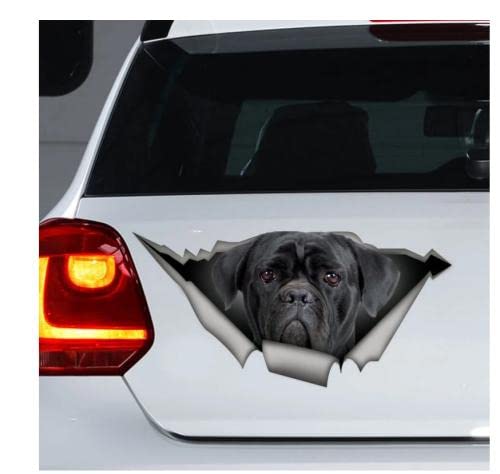 GAETOYEN Autoaufkleber Hund Personalisiert 21Cm（8.6 Inches） Cane Corso-Auto-Aufkleber, Haustier-Aufkleber, Hund-Aufkleber, Schwarzer Cane Corso-Aufkleber(def1m5561) von GAETOYEN