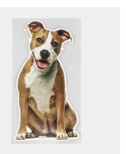 GAETOYEN Autoaufkleber Hund Personalisiert 21Cm（8.6 Inches） Netter Amerikanischer Stafford-Hund, Lustige Windschutzscheiben-Aufkleber, Auto-Dekorationszubehör(def1m1921) von GAETOYEN