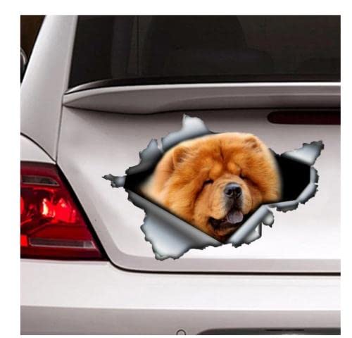 GAETOYEN Autoaufkleber Hund Personalisiert 21Cm（8.6 Inches） Roter Chow-Chow-Aufkleber, Autodekoration, Roter Chow-Chow-Aufkleber, Hundeaufkleber, Hundeaufkleber(def1m4004) von GAETOYEN