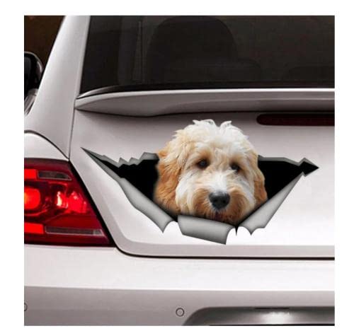 GAETOYEN Autoaufkleber Hund Personalisiert 21Cm（8.6 Inches） Weißer Goldendoodle-Auto-Aufkleber, D-Aufkleber, Haustier-Aufkleber, Hund-Aufkleber(def1m4237) von GAETOYEN
