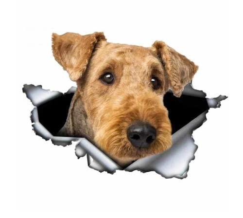 GAETOYEN Autoaufkleber Hund Personalisiert 25 cm Autoaufkleber Airedale Terrier 3D Zerrissenes Metall Vinyl Aufkleber Lustige Haustier Hund Kreative Aufkleber Css1A2789 von GAETOYEN