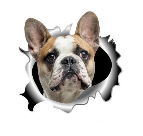 GAETOYEN Autoaufkleber Hund Personalisiert 25 cm Französische Bulldogge 3D Hunde Auto Aufkleber Wandaufkleber Für Küchenschrank Laptop Kreative Aufkleber Css1A9333 von GAETOYEN