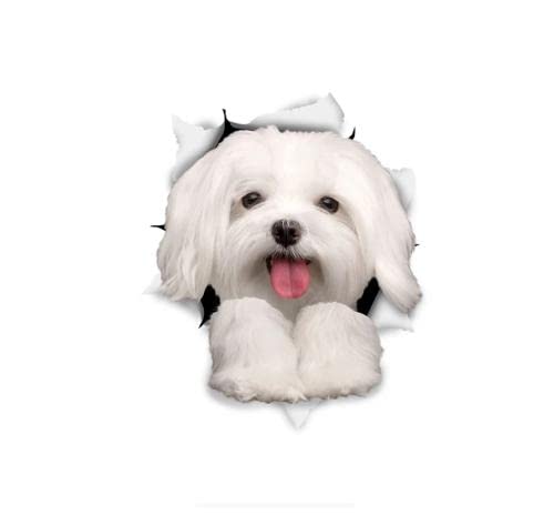 GAETOYEN Autoaufkleber Hund Personalisiert 8 cm 3D-Hundeaufkleber, Niedliche Malteser-Aufkleber, Kinder-Kind-Wandaufkleber Css1A9063 von GAETOYEN