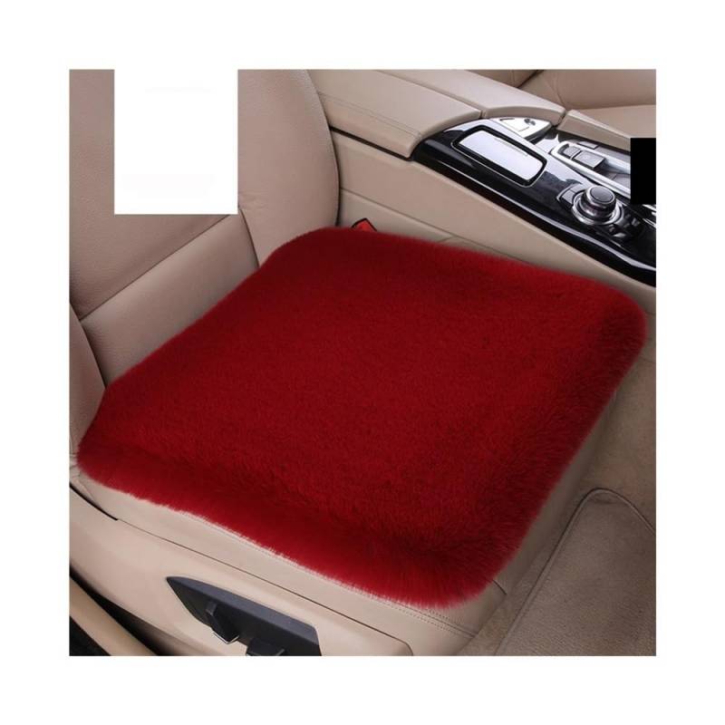 GANGEV Vordersitze universal Winter Warme Kaninchen Fell Auto Sitzbezüge Universal Größe Autos Sitzbezüge Innen Zubehör von GANGEV