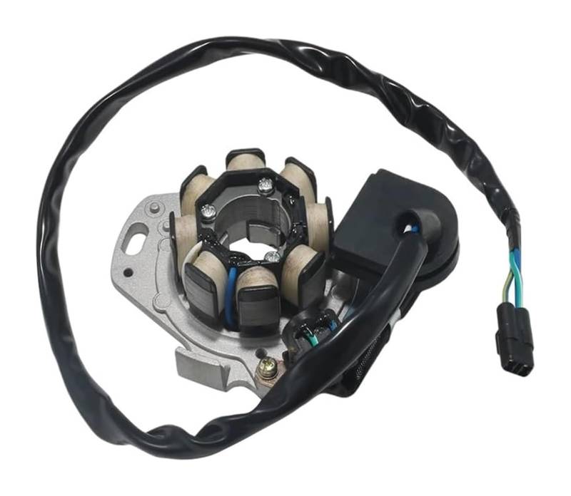 Motorrad Zündspule Für CR125 CR125RW CR125R 1998 Motorrad Stator Spule Motorrad Generator Stator Spule Comp Motorradzündung von GATAVCTKPY