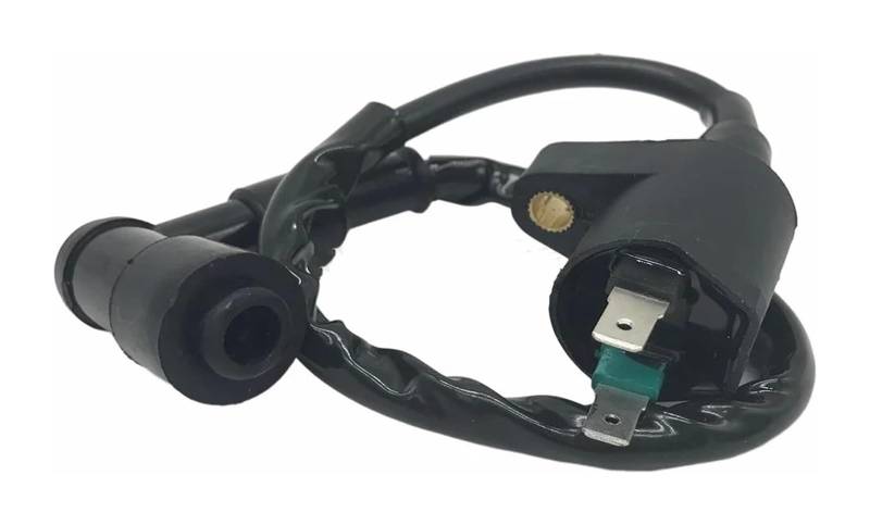 Motorrad Zündspule Für SRX50 SRX90 CB125 CB50R CLR125 CT125 CT185 CT200 GB250 Zündspule Zündgerät Zündspulenpaket Zündspulen Motorradzündung von GATAVCTKPY