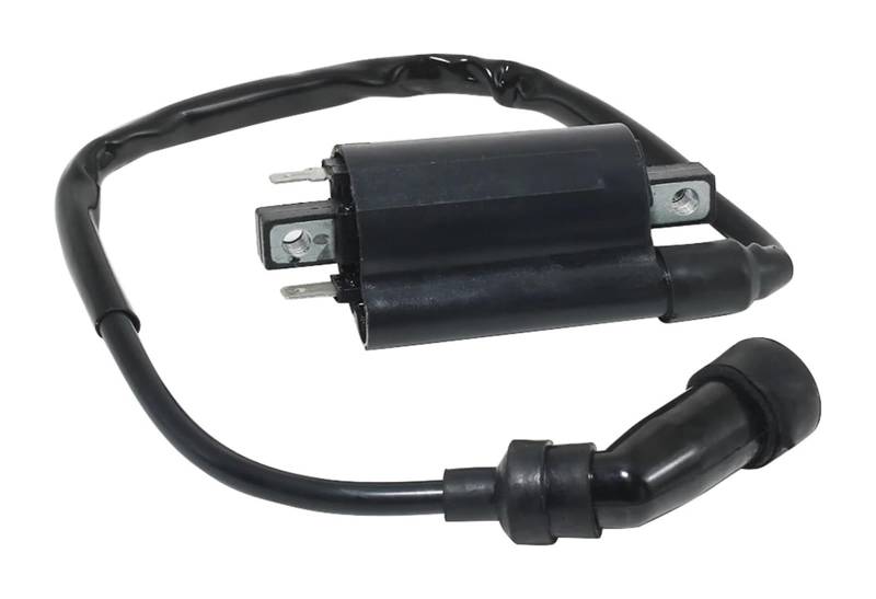 Motorrad Zündspule Für Suz&uki AN250 AN400 EN125 TU125 GN125 GS125 DF125 DF200 DR200 DR125SE DR200SE Boot Zündspule Assy Motorrad Zündspule Motorradzündung von GATAVCTKPY