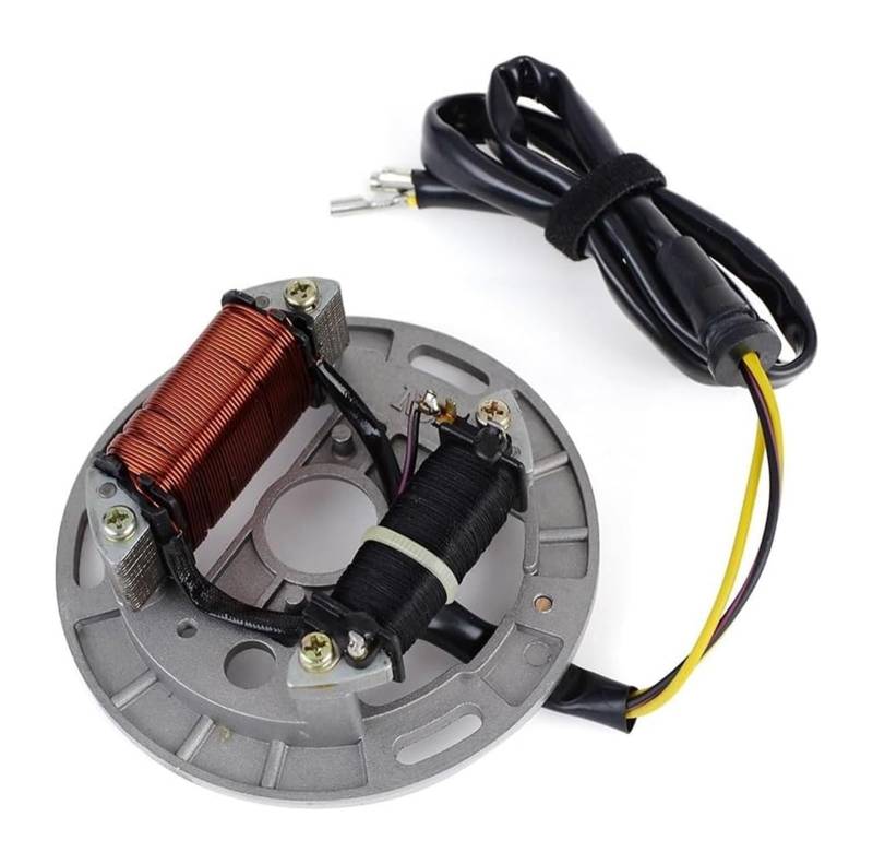 Motorrad Zündspule Für Suz&uki LT80 LT 80 Für Quadsport 1987-2006 Zündung Für Magneto Stator Spule Motorrad Stator Spule Stator Spule Motorradzündung von GATAVCTKPY
