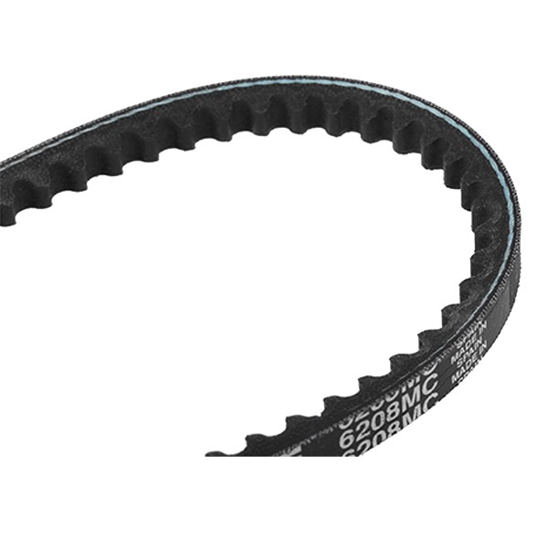 GATES Keilriemen VW,AUDI,RENAULT 6208MC 0855839800,052903137A,PQS010700EVA 7700621031,7700662412,8542498,809110400,GFB376,068903137AQ,5750SP,75491768 GATES Keilriemen VW,AUDI,RENAULT 6208MC 0855839800,052903137A,PQS010700EVA 7700621031,7700662412,8542498,809110400,GFB376,068903137AQ,5750SP,75491768 von GATES