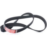 GATES Keilrippenriemen 6PK1019SF Rippenriemen FORD,MAZDA,Fiesta Mk6 Schrägheck (JA8, JR8),Fiesta Mk5 Schrägheck (JH1, JD1, JH3, JD3),FOCUS III Turnier GATES Keilrippenriemen 6PK1019SF Rippenriemen FORD,MAZDA,Fiesta Mk6 Schrägheck (JA8, JR8),Fiesta Mk5 Schrägheck (JH1, JD1, JH3, JD3),FOCUS III Turnier von GATES