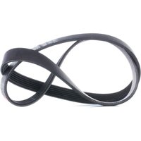 GATES Keilrippenriemen AutoMaster 6PK1030SF Rippenriemen FORD,Fiesta Mk6 Schrägheck (JA8, JR8),FOCUS III Turnier,MONDEO IV Turnier (BA7),FOCUS III GATES Keilrippenriemen AutoMaster 6PK1030SF Rippenriemen FORD,Fiesta Mk6 Schrägheck (JA8, JR8),FOCUS III Turnier,MONDEO IV Turnier (BA7),FOCUS III von GATES