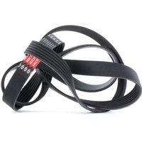 GATES Keilrippenriemen G-Force™ C12™ CVT Belt 6PK1685 Rippenriemen VW,AUDI,OPEL,LT 28-46 II Kastenwagen (2DA, 2DD, 2DH) GATES Keilrippenriemen G-Force™ C12™ CVT Belt 6PK1685 Rippenriemen VW,AUDI,OPEL,LT 28-46 II Kastenwagen (2DA, 2DD, 2DH) von GATES