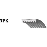 GATES Keilrippenriemen G-Force™ C12™ CVT Belt 7PK1035 Rippenriemen BMW,RENAULT,NISSAN,7 (E38),8 (E31),Clio III Schrägheck (BR0/1, CR0/1) GATES Keilrippenriemen G-Force™ C12™ CVT Belt 7PK1035 Rippenriemen BMW,RENAULT,NISSAN,7 (E38),8 (E31),Clio III Schrägheck (BR0/1, CR0/1) von GATES