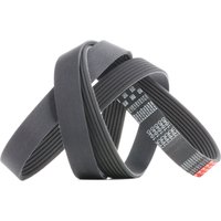 GATES Keilrippenriemen G-Force™ C12™ CVT Belt 7PK1640 Rippenriemen RENAULT,TOYOTA,NISSAN,MASTER II Kasten (FD) GATES Keilrippenriemen G-Force™ C12™ CVT Belt 7PK1640 Rippenriemen RENAULT,TOYOTA,NISSAN,MASTER II Kasten (FD) von GATES