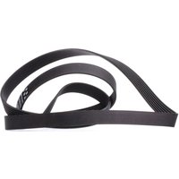 GATES Keilrippenriemen G-Force™ C12™ CVT Belt 7PK2035 Rippenriemen MERCEDES-BENZ,JEEP,CHRYSLER,E-Klasse Limousine (W211),C-Klasse Limousine (W204) GATES Keilrippenriemen G-Force™ C12™ CVT Belt 7PK2035 Rippenriemen MERCEDES-BENZ,JEEP,CHRYSLER,E-Klasse Limousine (W211),C-Klasse Limousine (W204) von GATES