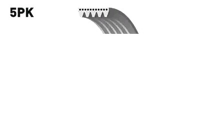 GATES Keilrippenriemen AUDI,OPEL,FIAT 5PK970 7706132,9936510970,9936550970 Rippenriemen 9936580970,V1090924,93501082,90299503,1752153R00000,1752161MA0 GATES Keilrippenriemen AUDI,OPEL,FIAT 5PK970 7706132,9936510970,9936550970 Rippenriemen 9936580970,V1090924,93501082,90299503,1752153R00000,1752161MA0 von GATES