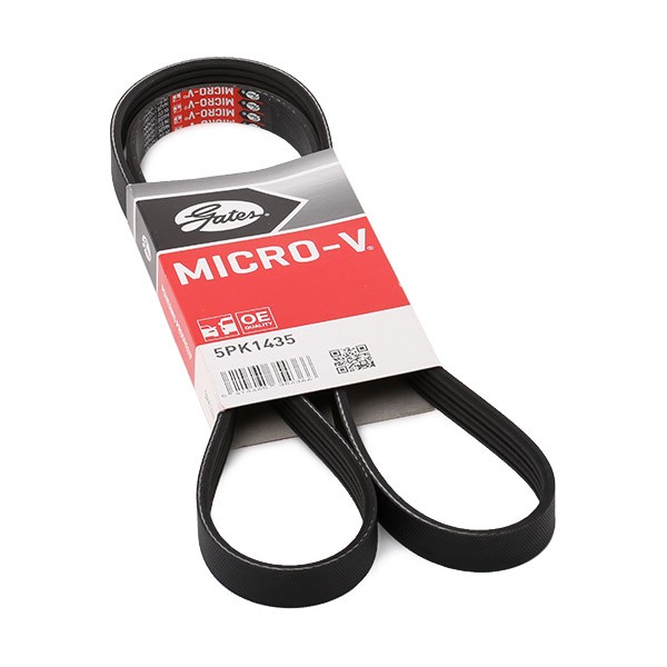 GATES Keilrippenriemen VW,AUDI,SKODA 5PK1435 038903137H,038903137T,7789700 Rippenriemen 5PK1432 GATES Keilrippenriemen VW,AUDI,SKODA 5PK1435 038903137H,038903137T,7789700 Rippenriemen 5PK1432 von GATES