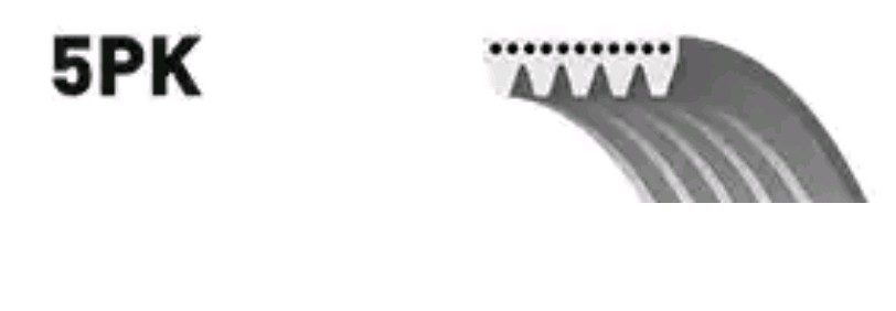 GATES Keilrippenriemen FORD,FIAT,PEUGEOT 5PK1053 7702169,9008091171,9936501050 Rippenriemen 9936551050,9936561050,5PK1050,5PK1055,5750Q1,60807358 GATES Keilrippenriemen FORD,FIAT,PEUGEOT 5PK1053 7702169,9008091171,9936501050 Rippenriemen 9936551050,9936561050,5PK1050,5PK1055,5750Q1,60807358 von GATES